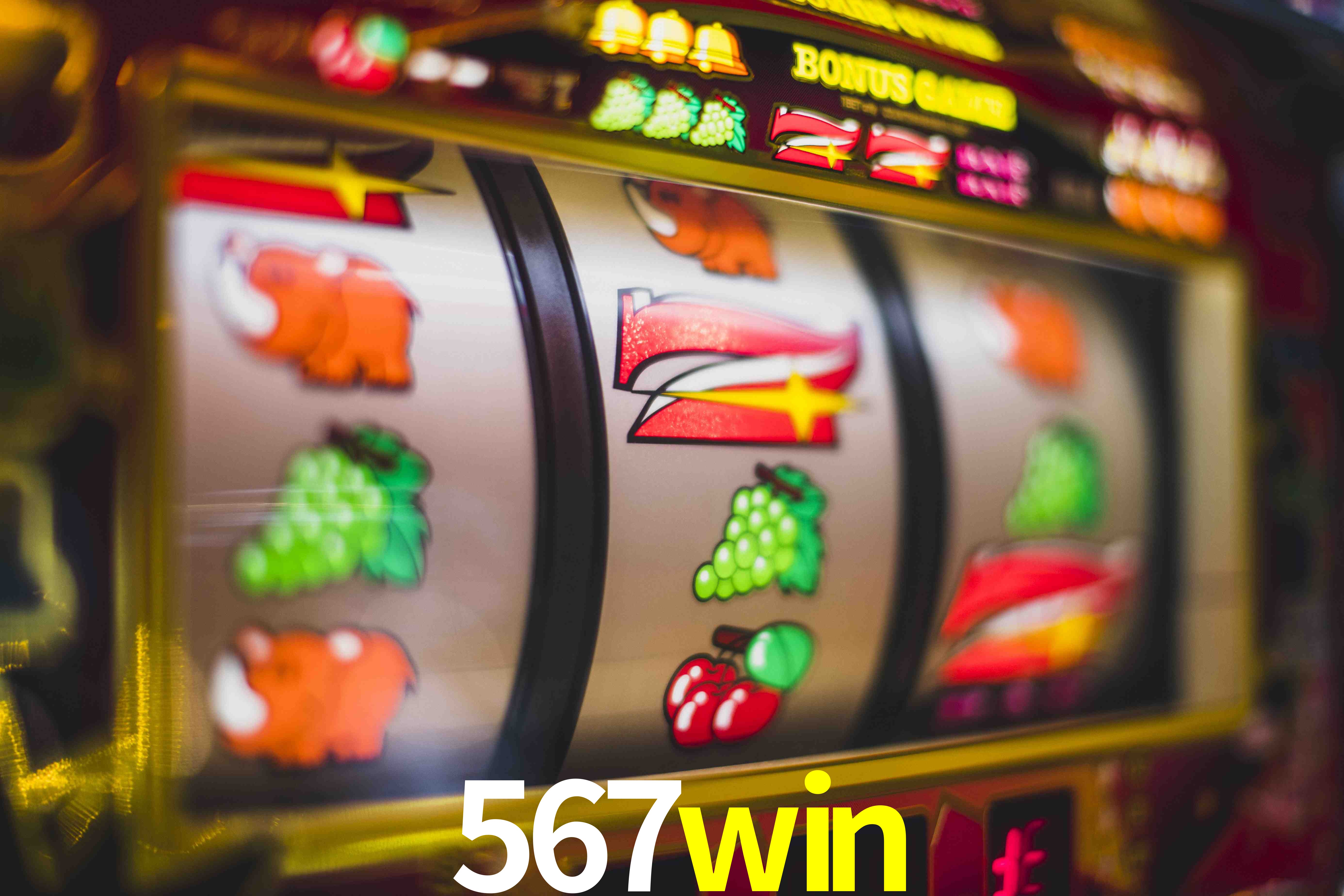 VIP Casino 567win
